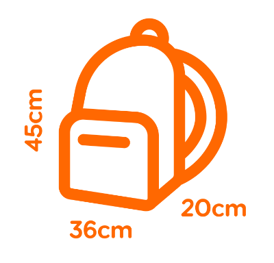 EASYJET 45x36x20 CM NEW SIZE CABIN UNDER SEAT BACKPACK SPORTS WORK TRAVEL  SCHOOL