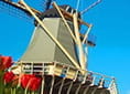 Nuestros destinos más populares son: Amsterdam