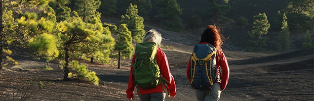 people walking amongst greenery in La Palma