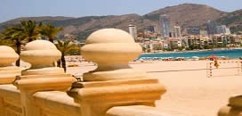 Alicante za 129,64 zł lub mniej, paź >