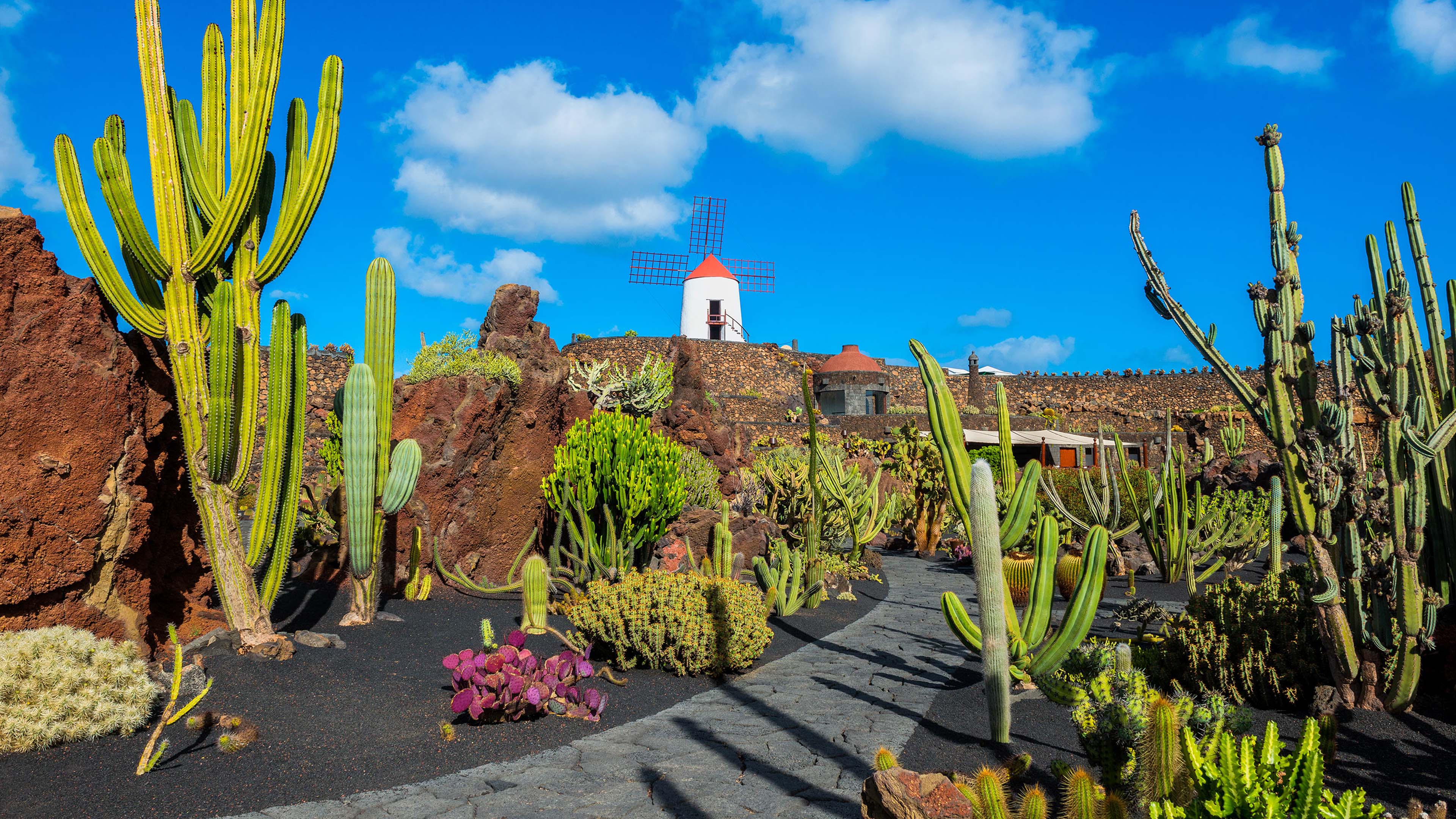 voli da milano a lanzarote