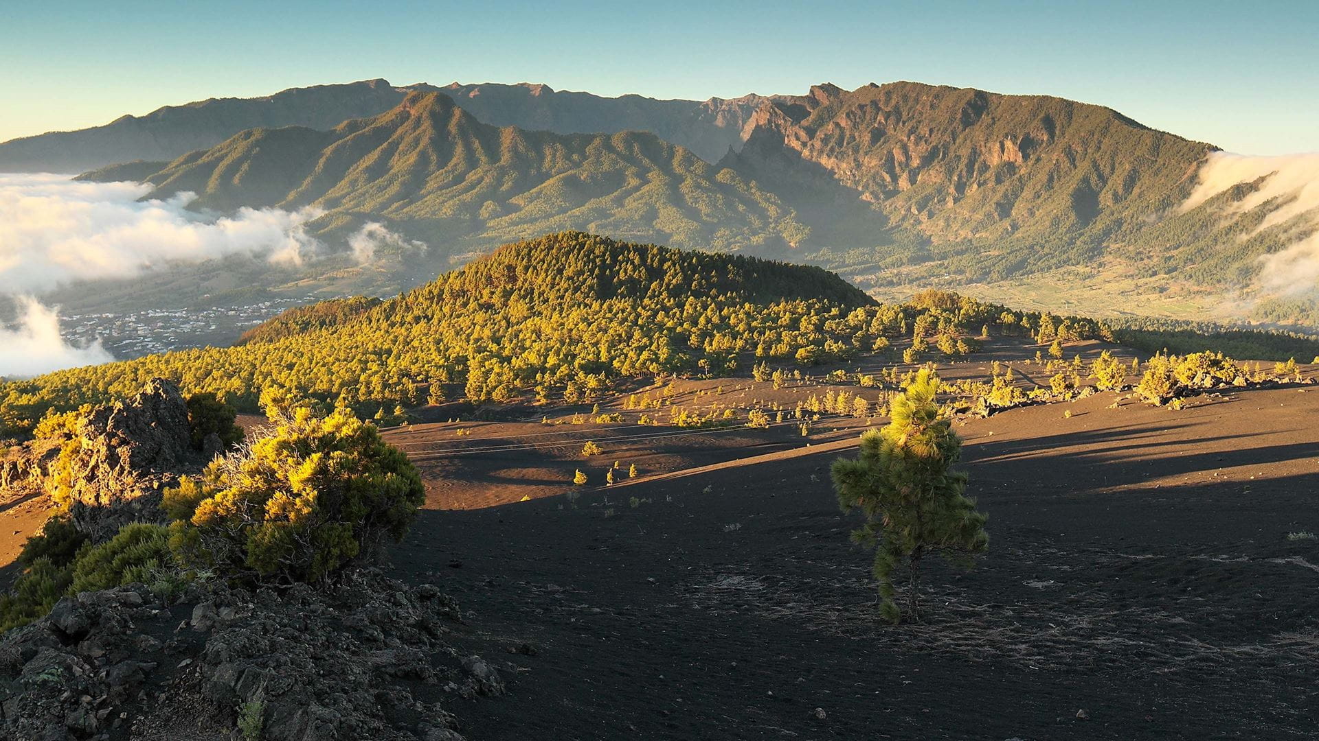 Santa Cruz de la Palma