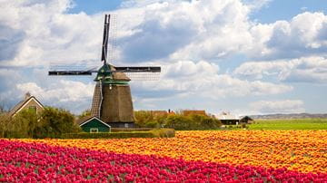 The Netherlands