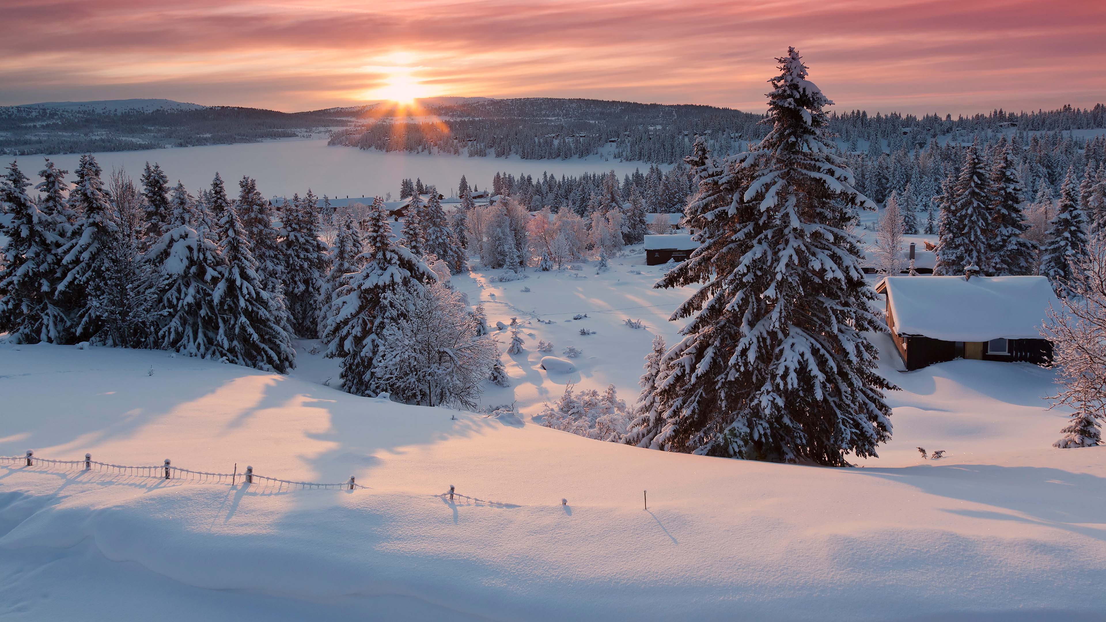 Cheap flights to Oslo Plane tickets 2023/2024 easyJet