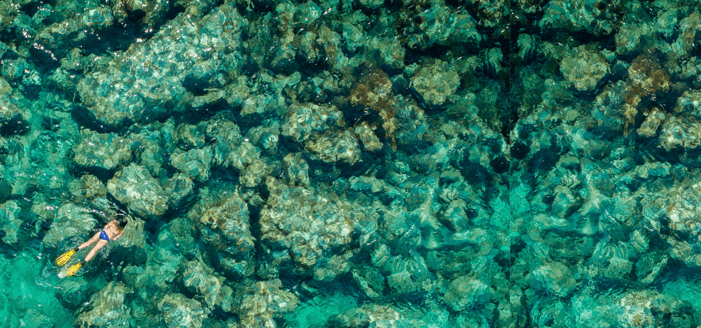 MEGNYITOTTA KAPUIT A NAGY ÜLŐHELY KIÁRUSÍTÁS !