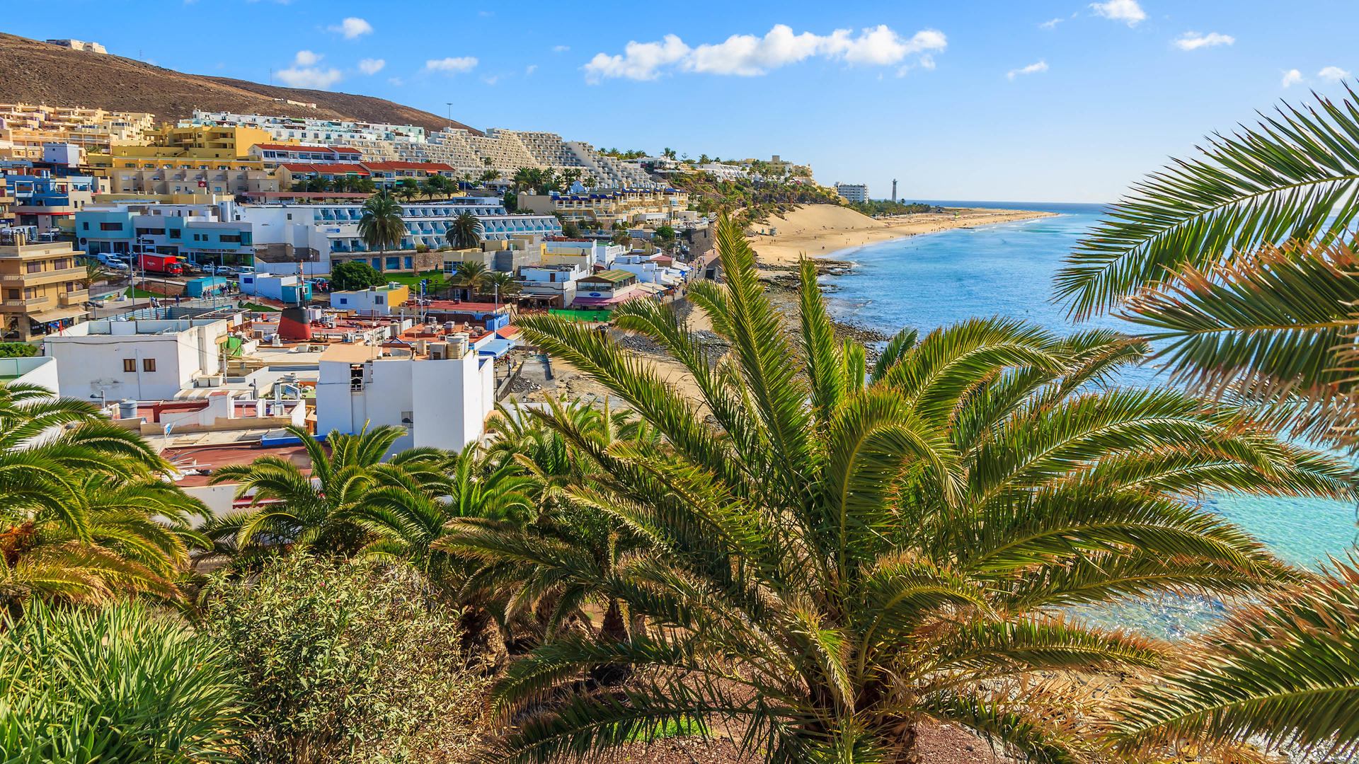 Fergus Cactus Garden, Playa de Jandia | easyJet holidays